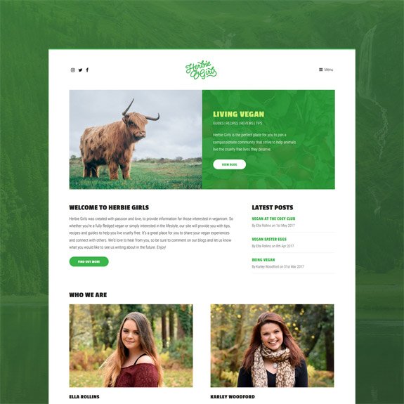 Herbie Girls Website Desktop View